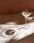 Vintage İkili Martini Kadehi Seti