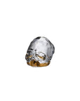 Memento Mori Küçük Boy Kafatası
