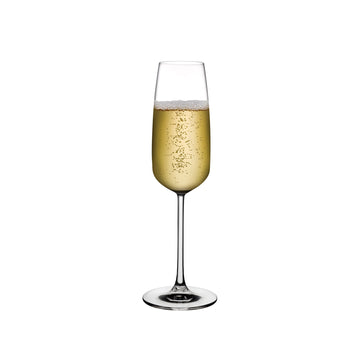 Mirage İkili Şampanya Kadehi Seti