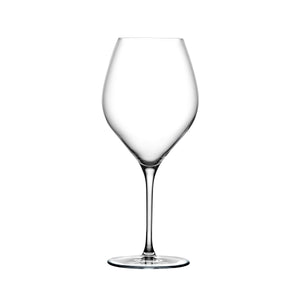 Vinifera İkili Beyaz Şarap Kadehi Seti 600 cc
